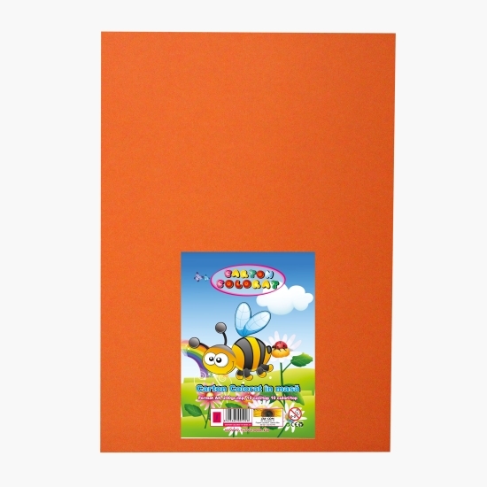 Carton 250 gr/mp, 10 coli de culori diferite