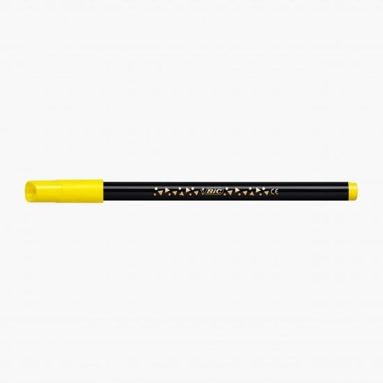 Markere de colorat Intensity 12 buc