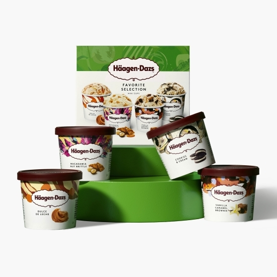 Înghețată multipack Favorite Selection, 4x95ml (2x78g, 2x81g)
