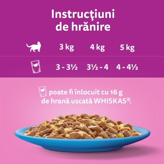 Hrană umedă pentru pisici adulte, 12x85g, selecții de pește în aspic