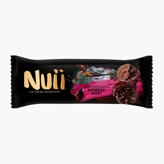 Înghețată de ciocolată cu sos de afine 90ml (66g)