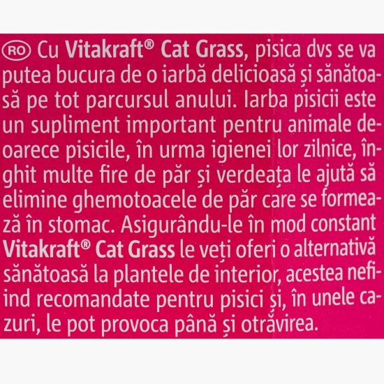 Iarba pisicii 120g