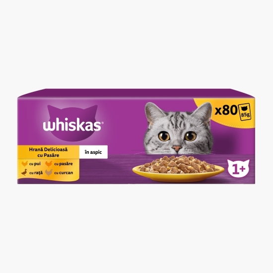 Hrană umedă pentru pisici adulte, 80x85g, cu carne de pasăre în aspic 
