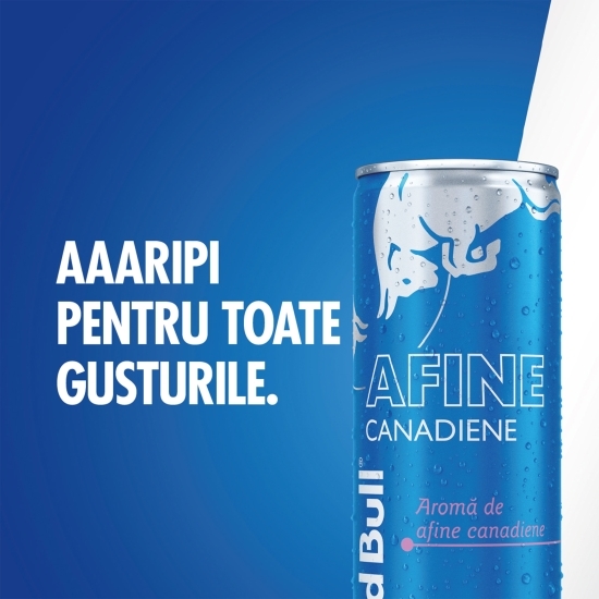 Băutură energizantă cu gust de afine canadiene 0.25l