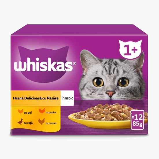  Hrană umedă pentru pisici adulte, 12x85g, carne de pasăre în aspic