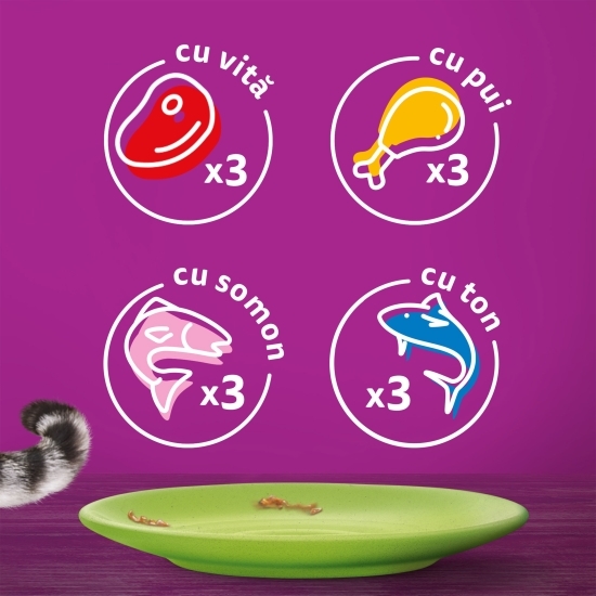  Hrană umedă pentru pisici adulte, 12x85g, selecții de carne în aspic 