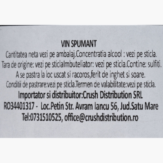 Șampanie alb brut Blanc de Noir Vintage B13, 12%, 0.75l
