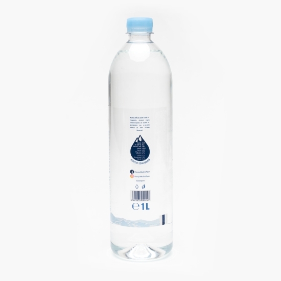 Apă plată 1l