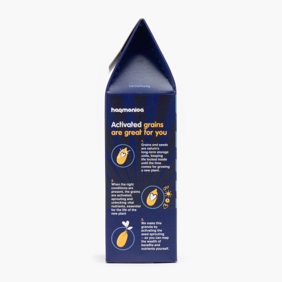 Granola ecologică cu afine și vanilie 250g