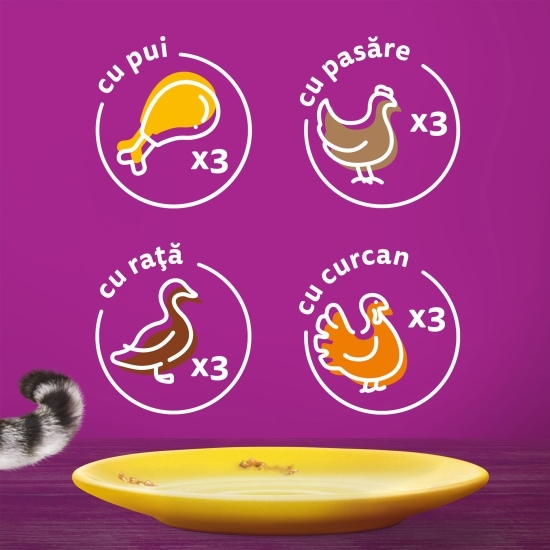 Hrană umedă pentru pisici adulte, 12x85g, cu carne de pasăre în sos 