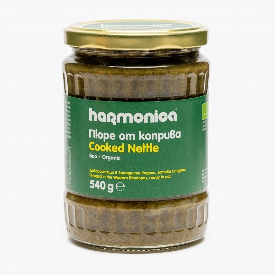 Piure de urzică eco 540g