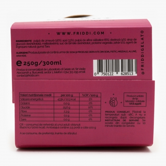 Înghețată cu zmeură și afine sălbatice 300ml (250g)