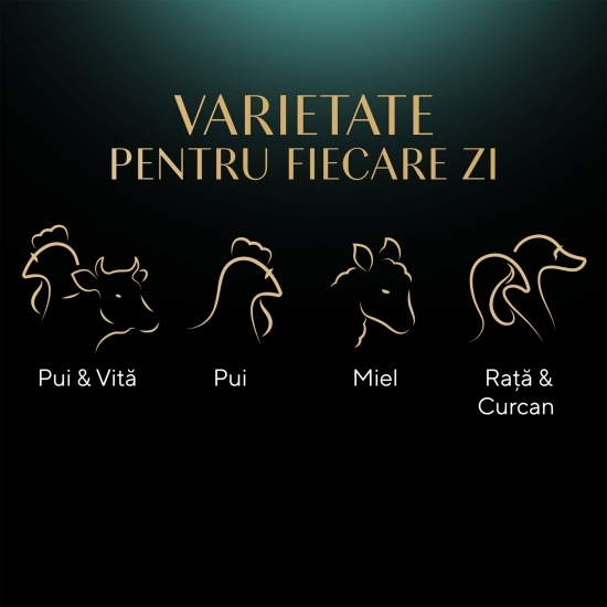 Hrană umedă pentru pisici adulte, 4x85g, selecție suculentă în sos
