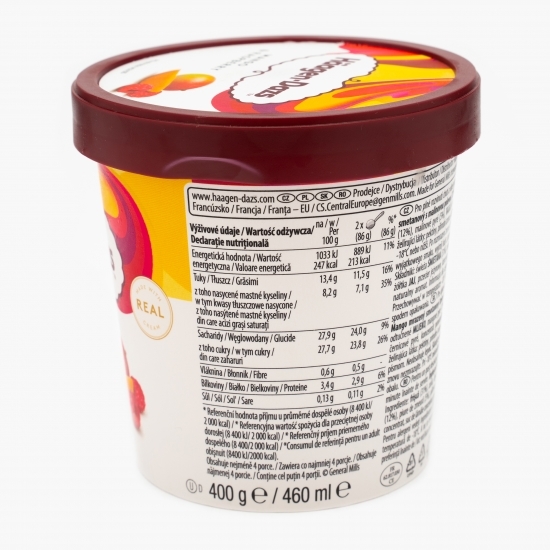Înghețată de mango cu sos de zmeură, 460ml (400g)
