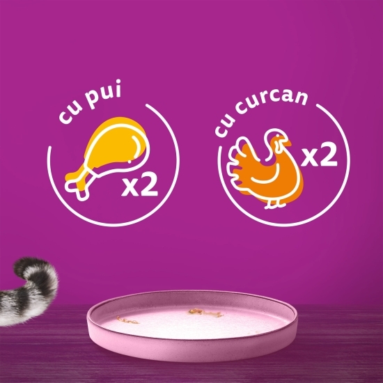 Hrană umedă pentru pisici junior, 4x85g, Pure Delight cu carne de pasăre în aspic