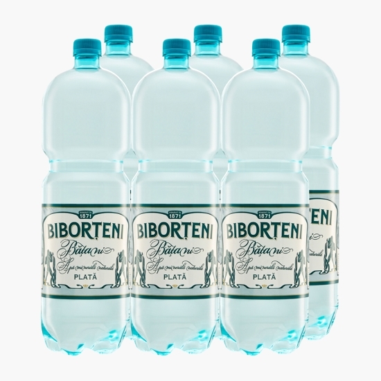 Apă minerală naturală plată 6x2l
