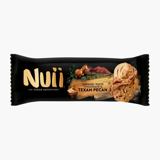 Îngheţată de vanilie cu caramel şi bucăţi de nuci pecan texane 90ml (66g)
