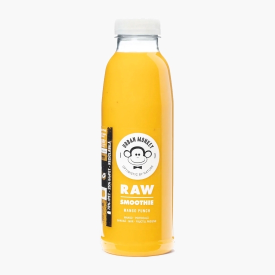 Raw smoothie Mango Punch 0.5l 
