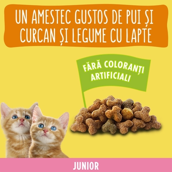 Hrană uscată pentru pisici junior, cu pui, curcan, lapte și legume, 1.5kg
