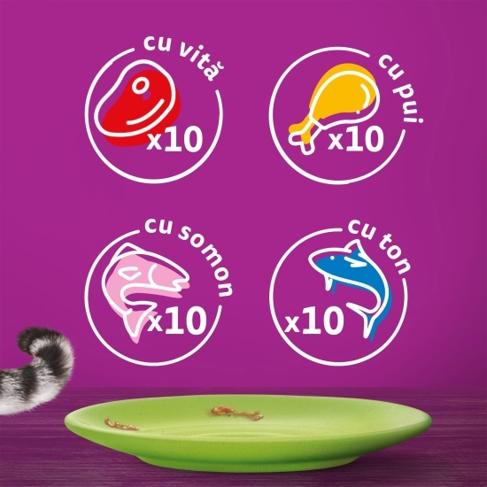 Hrană umedă pentru pisici adulte, 40x85g, selecții de carne în aspic 