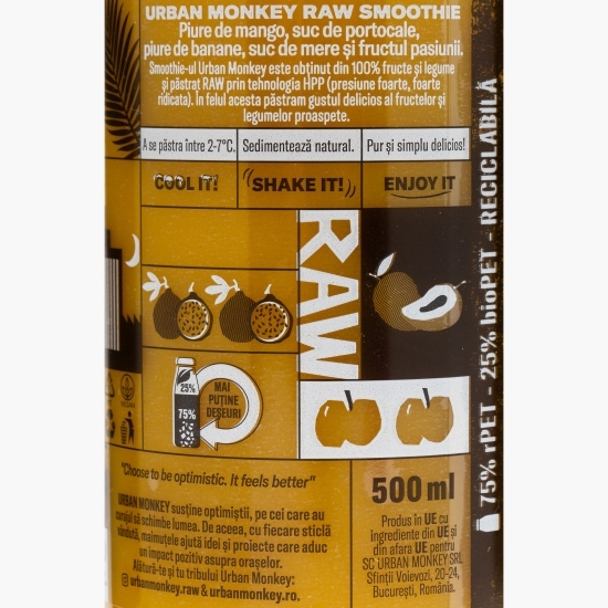 Raw smoothie Mango Punch 0.5l 
