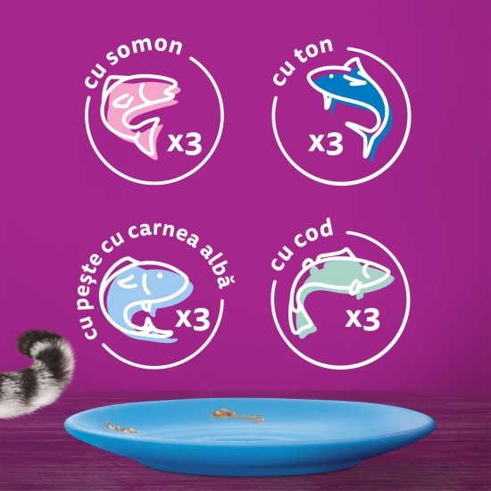 Hrană umedă pentru pisici adulte, 12x85g, selecții de pește în aspic