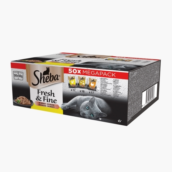 Hrană umedă pentru pisici adulte, 50x50g, selecție de pui, pasăre și curcan în sos delicios 