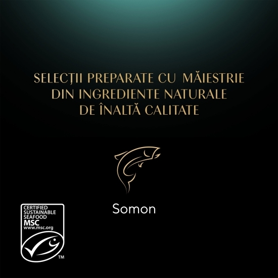 Hrană umedă pentru pisici adulte, 85g, cu somon în sos