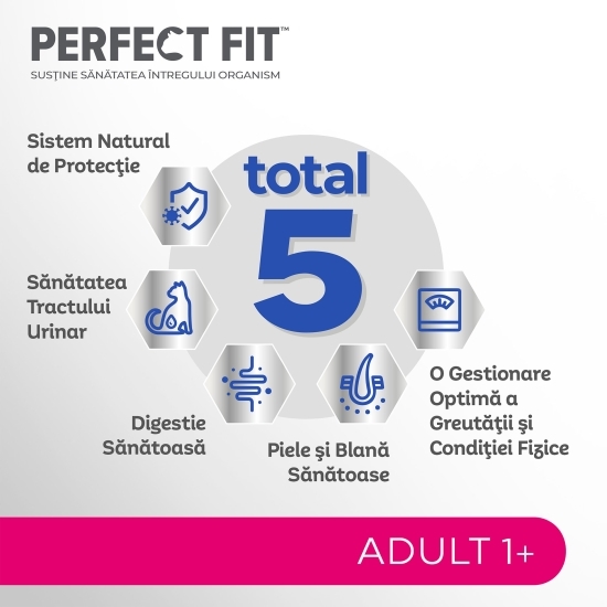Hrană uscată pentru pisici, 750g, cu somon