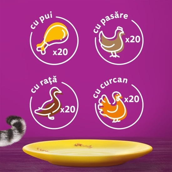 Hrană umedă pentru pisici adulte, 80x85g, cu carne de pasăre în aspic 