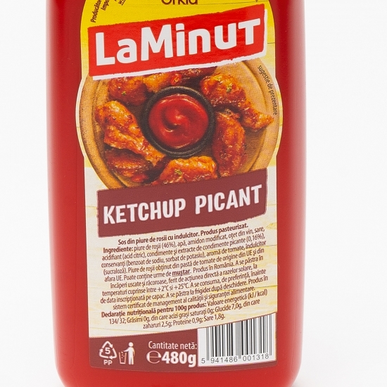 Ketchup picant 480g