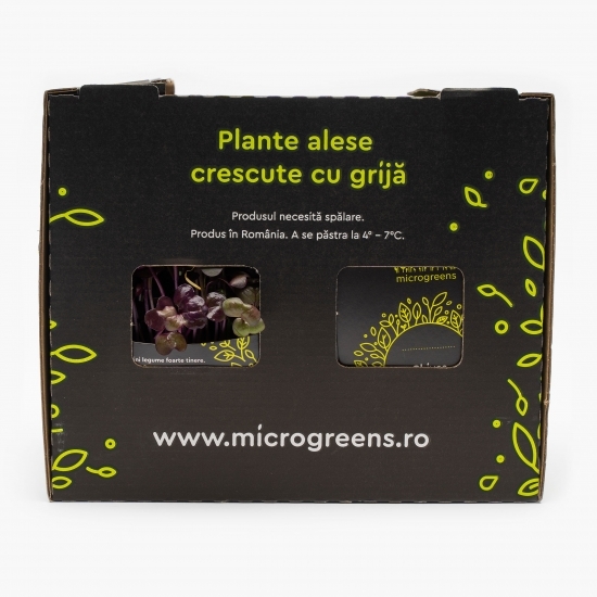 Mix de microplante picante (ridiche roșie, muștar, chives, ridiche chinezească)