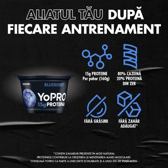 Produs lactat fermentat cu afine și îndulcitori, bogat în proteine, 0.1% grăsime, 160g
