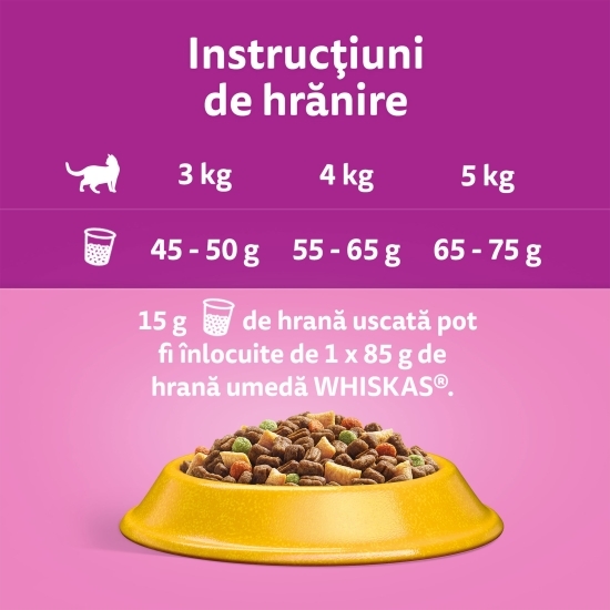 Hrană uscată pentru pisici adulte, 300g, cu pui