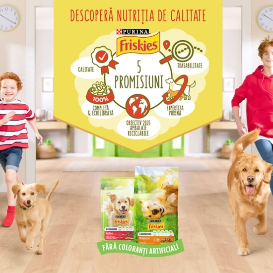 Hrană uscată pentru câini adulți, 2.4kg, Active cu vită
