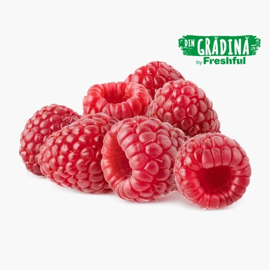 Zmeură România 125g