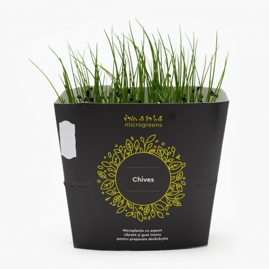 Mix de microplante picante (ridiche roșie, muștar, chives, ridiche chinezească)