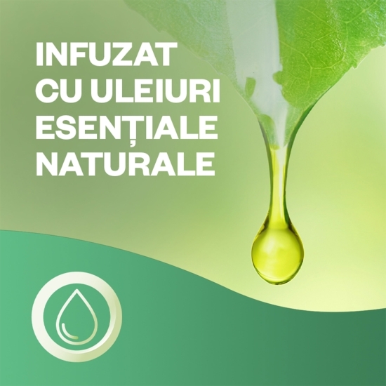 Odorizant de cameră kit spray automat fără aerosoli Buchet de Iasomie 228ml