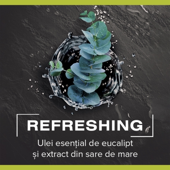 Gel de duș Men Refreshing 3 in 1, 0.5l