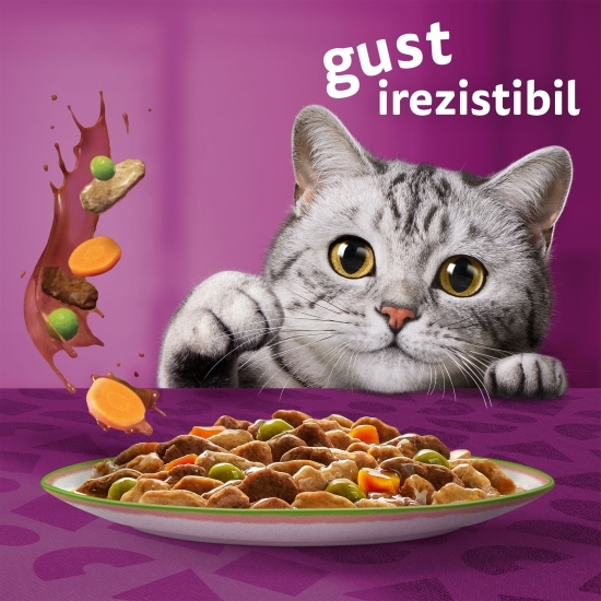 Hrană umedă pentru pisici adulte 4x85g, Tasty Mix cu vită, pasăre și legume, cu somon și morcov