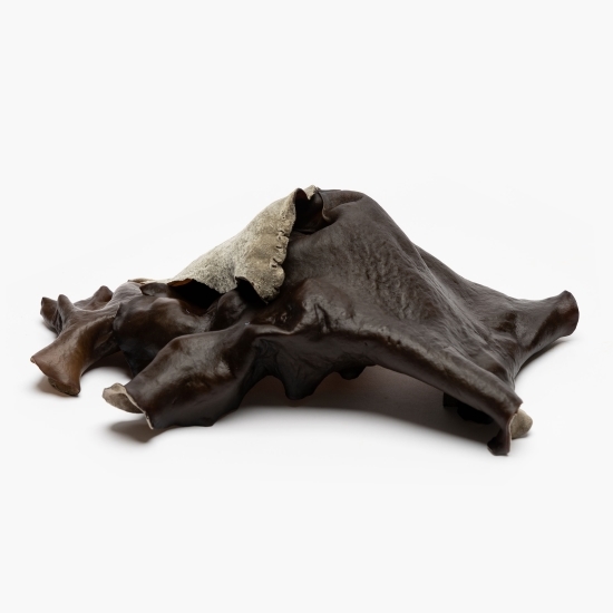 Ciuperci urechi de lemn 250g