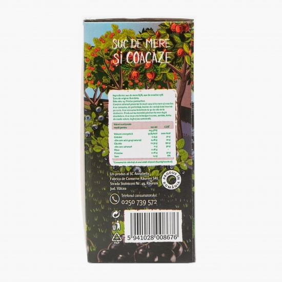 Suc mere și coacăze 3l