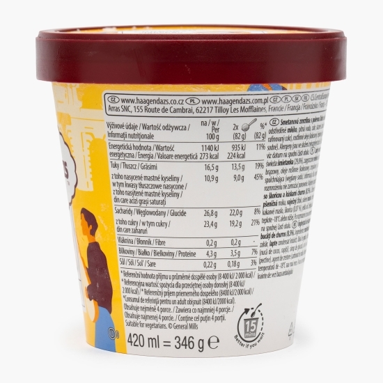 Înghețată cu bucăți de churros și sos Dulce de Leche, 420ml (346g) 
